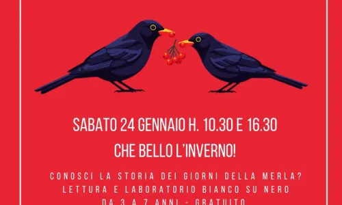 2026 01 24 b 93b833b0