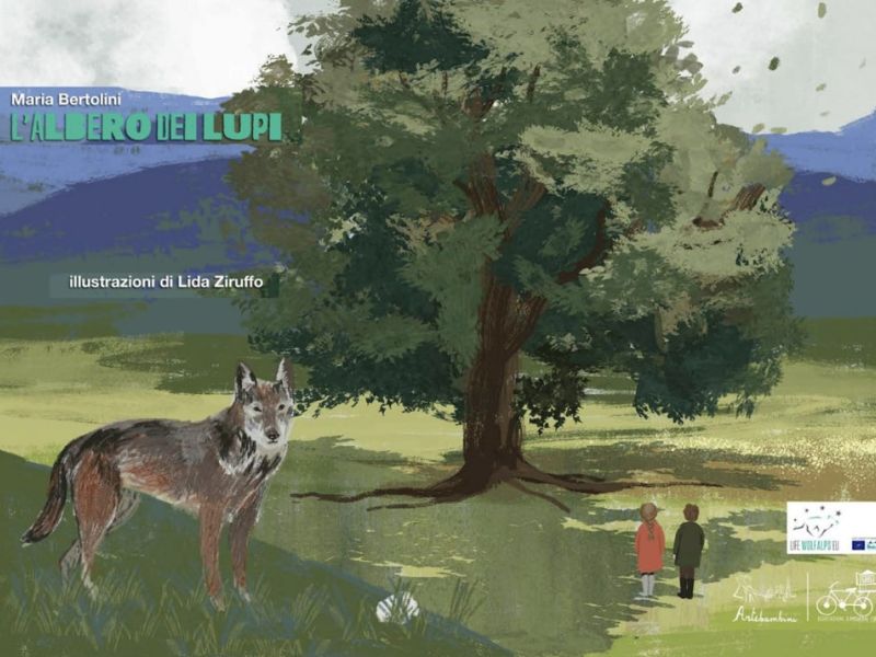 9791280792150 0 0 0 0 c361c6b3